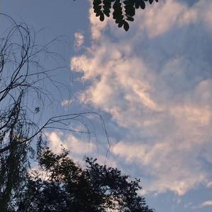 男人精液强碱生男娃
